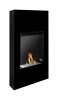 Biofireplace portal Modern black structural