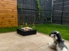 Biofireplace freestanding Sunset Garden black