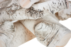Ceramic glade birch