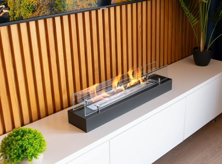 Biofireplace insert 700mm with glass
